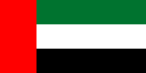 UAE flag