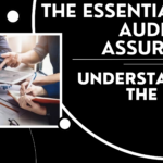 The Essentials of Audit and Assurance: Understanding the Basics