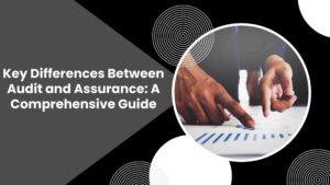 Read more about the article Key Differences Between Audit and Assurance: A Comprehensive Guide